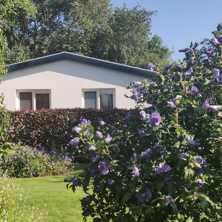 Vakantiebungalow Texel De Cocksdorp  Exterior foto